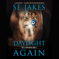 Daylight Again Audio Cover