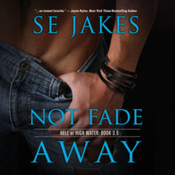 Not Fade Away Audio Cover