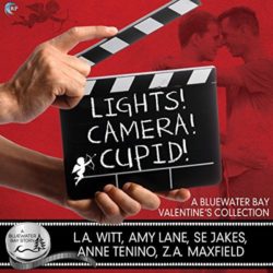 Lights, Camera, Cupid! Audio Cover